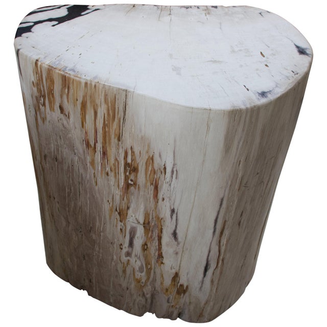 Stunning, hard to find soft pale tones on this super smooth, high quality petrified wood side table. As with a diamond, we...