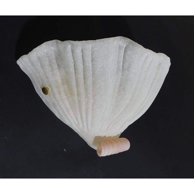 1960s 1960s Murano Shell Sconce With Pink Curl, a Pair For Sale - Image 5 of 10
