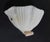 1960s 1960s Murano Shell Sconce With Pink Curl, a Pair For Sale - Image 5 of 10