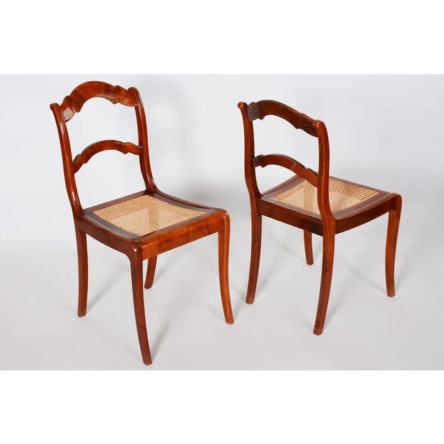 Set of Biedermeier Dining Chairs in Mahogany & Wicker, Germany, 1830s For Sale - Image 3 of 9
