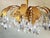 Vintage Chandelier from Palwa, 1960s For Sale - Image 4 of 18