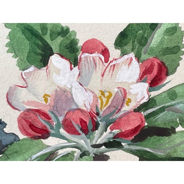 Framed Mid-Century British Bird Watercolour by Charles Frederick Tunnicliffe Obe Ra For Sale - Image 13 of 18