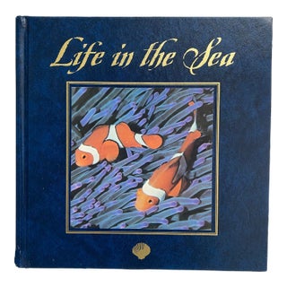 1990s Life in the Sea Coffee Table Book For Sale