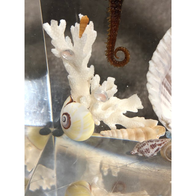 Mid 20th Century Pair of Whimsical Clear Bookends With Seashells and Seahorse For Sale - Image 11 of 12