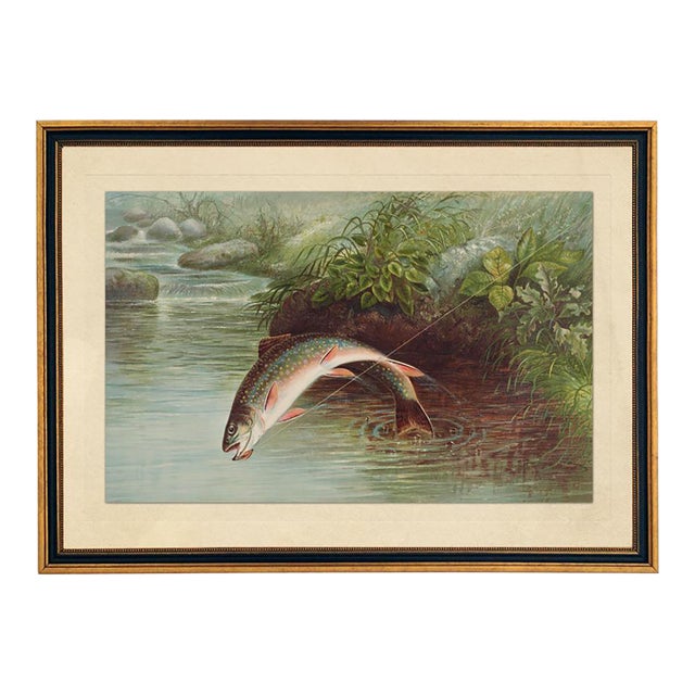 Leaping Brook Trout After Samuel Kilbourne (1874) Framed Reproduction Print For Sale