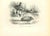 Scalope de Canada is an original lithograph on ivory-colored paper, realized by Paul Gervais (1816-1879). The artwork is...