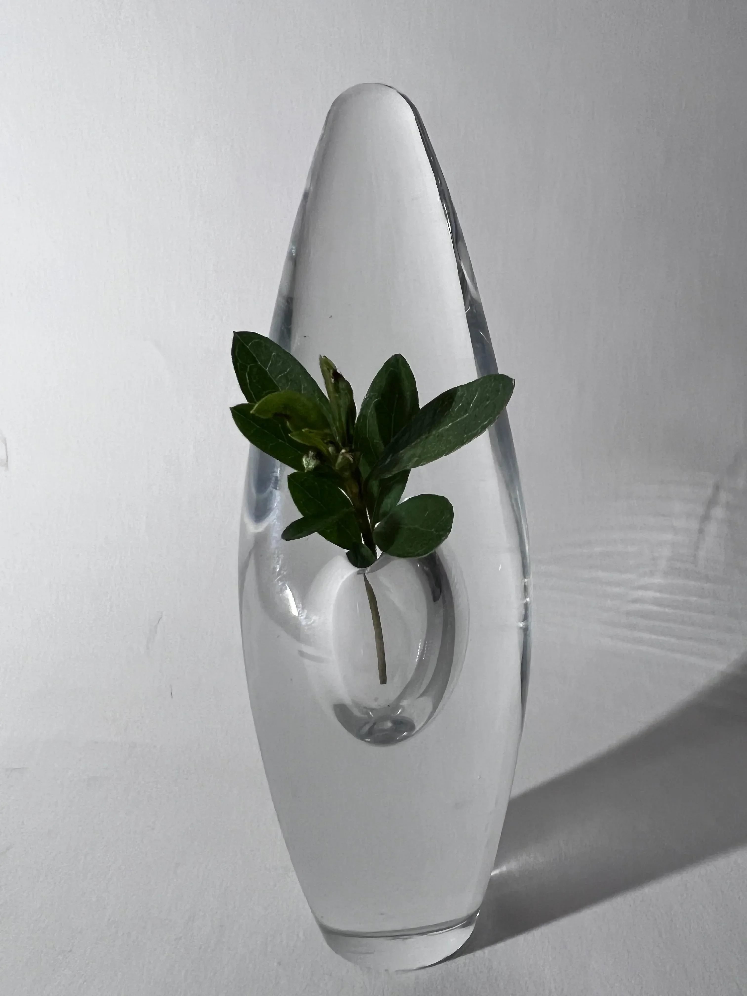 Signed Timo Sarpaneva for Iittala Orkidea (Orchid) Art Glass Vase