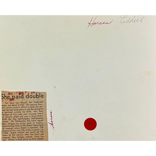 1974 black and white equestrian photograph of horses in Issaquah, WA outside Seattle. Publication information on the back....