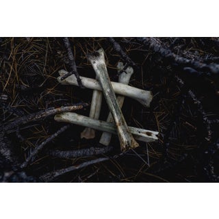 Sign by Jenya Chernoff | Giclée print on fine art paper depicting bones arranged in a star shape. For Sale