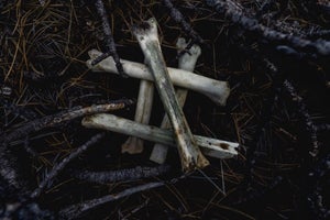 Sign by Jenya Chernoff | Giclée print on fine art paper depicting bones arranged in a star shape.