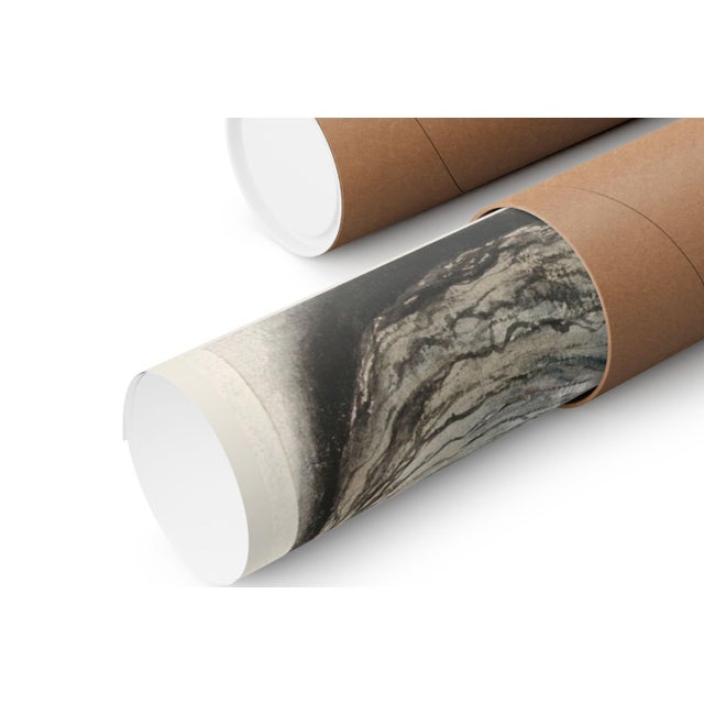 Not Yet Made - Made To Order Oysters, Mussels and Moon Horn — 16th-Century Natural History Art Print Reproduction, 20" × 16" For Sale - Image 5 of 5