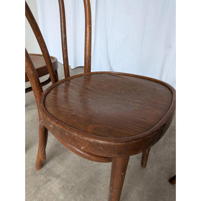 Vintage Carved Bentwood Farmhouse Dining Chairs, 1970s, Set of 3 For Sale - Image 13 of 18