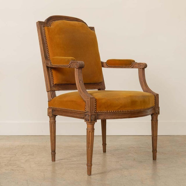 1920s French Louis XVI Style Armchair For Sale - Image 4 of 12