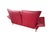 Animal Skin DS 145 2-Seater Sofa in Red Leather from de Sede, 1990s For Sale - Image 7 of 9
