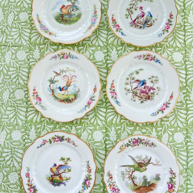 White 1930s Set of 6 Sevres birds bread plates // Traditional decor // decorative fine china // hand decorated and signed by artist // mix and match For Sale - Image 8 of 10