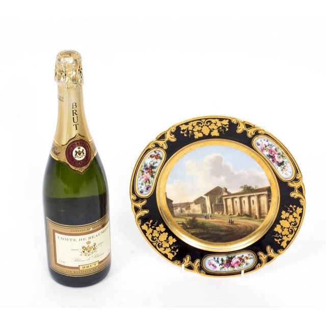 19th Century Porcelain Plate from Pucher Deroche, Paris For Sale - Image 9 of 10