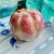 Raspberry Pink Chinoiserie Ceramic Altar Fruit Melons - a Pair For Sale - Image 8 of 10