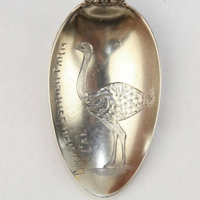 Antique Cawston Ostrich Farm California Sterling Silver Souvenir Spoon For Sale - Image 4 of 7