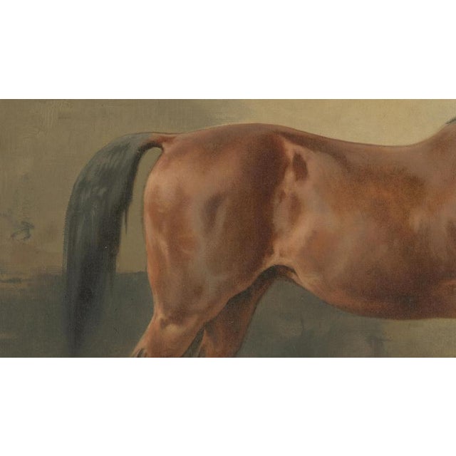 After Otto Eerelman, Mecklenburg Horse, 1898, Lithograph on Paper For Sale - Image 6 of 10