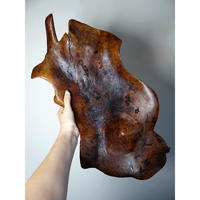 Magnificent large wooden bowl, likely made of dark olive wood, carved from a single piece of wood, with a raw, brutalist,...