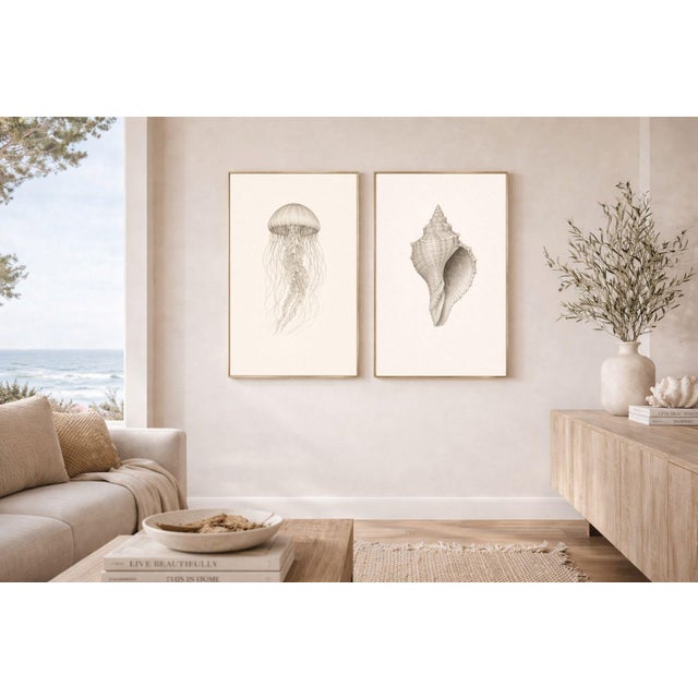 Coastal Sea Life Study Set, Minimal Botanical & Shell Art Prints, 24" × 36" (Set of 2) For Sale - Image 4 of 8