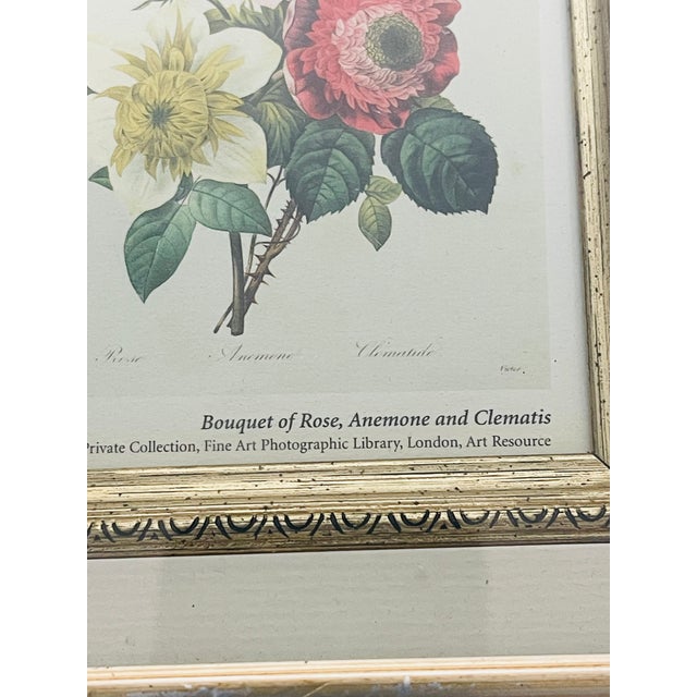 Small vintage Chromolithograph by P.J.Redoute in nice frame.