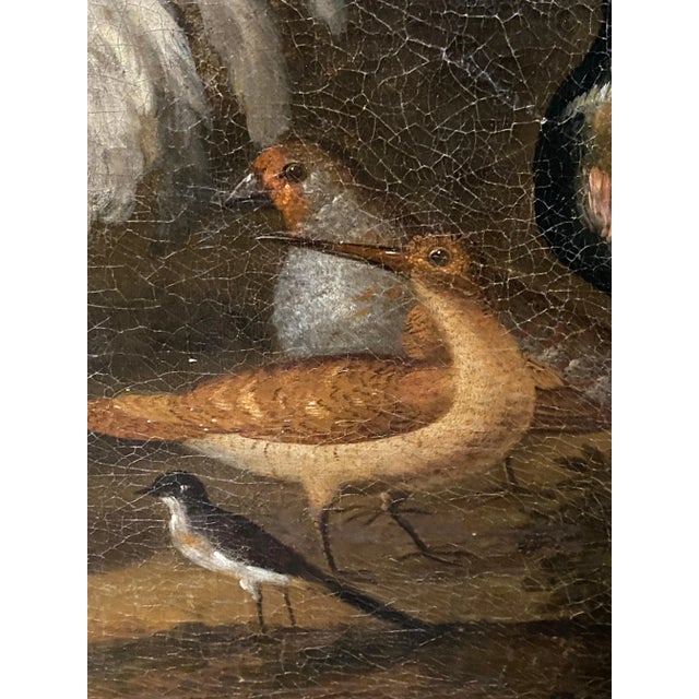 Painting of Birds, Attributed to Marmaduke Craddock For Sale - Image 11 of 13