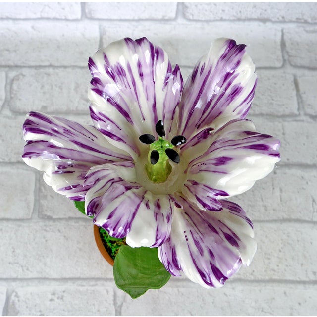 Early 21st Century White Parrot Tulip Flamed With Violet in Porcelain by Didier Gardillou For Sale - Image 5 of 7