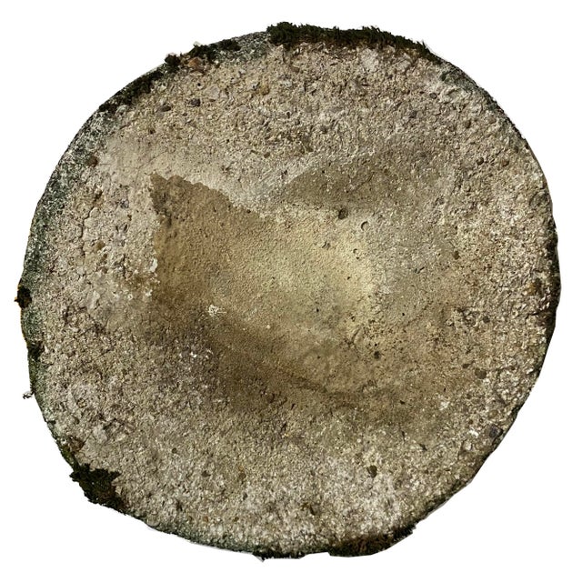 1960s Immense Vintage Cast Cement, Concrete Horse Head Sculpture For Sale - Image 14 of 14