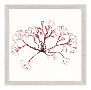 Bradbury Seaweeds 03, Framed Artwork