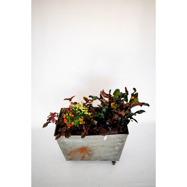 Shabby Chic New Planter Storage Bin 1970s Zinc For Sale - Image 3 of 7