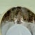 Silver Sterling Silver Oval Napkin Ring, Engraved Mother For Sale - Image 8 of 8