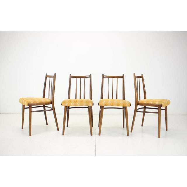 Dining Chairs attributed to Jitona, Czechoslovakia, 1970s, Set of 4 For Sale - Image 4 of 16