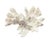 White Large Natural White Coral Reef Specimen #4 For Sale - Image 8 of 9