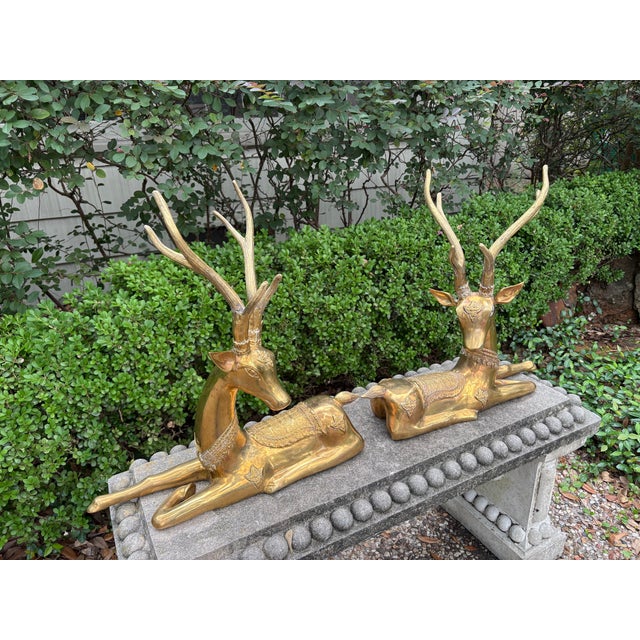 1960s Pair of Hollywood Regency Brass Stags For Sale - Image 9 of 13