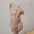 Classical Plaster Torso, 1960s, Plaster For Sale - Image 8 of 11