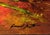 Giclee on canvas. Hand signed on front and verso by Michael Gorban. Hand numbered 14/150 on verso. Canvas is stretched....