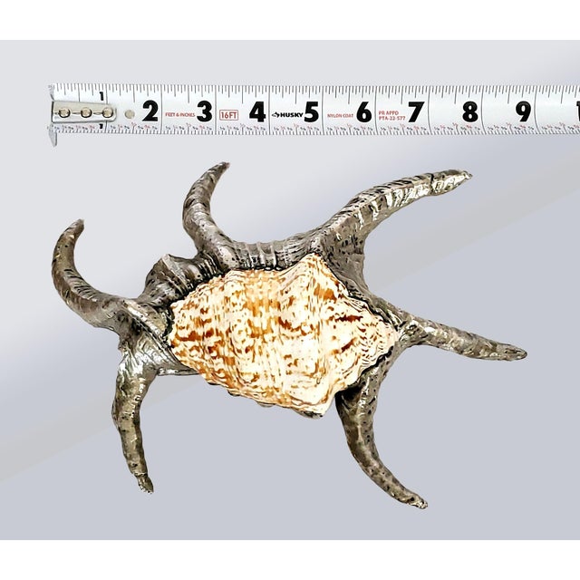 Nautical Real Seashell Silver Dipped For Sale - Image 3 of 13