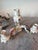 Rococo Antique Von Schierholz German Porcelain Cherub Quadruple Candelabras - Two Units For Sale - Image 3 of 12