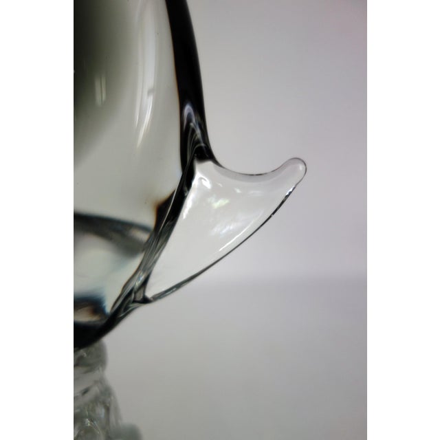 Large Murano Glass Fish by G. Campanella, Italy, 1960s, Set of 2 For Sale - Image 11 of 14