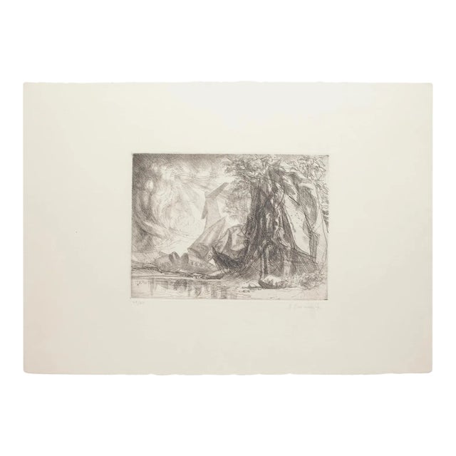 Riccardo Tommasi Ferroni, Redemption, 1970s, Etching For Sale