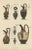 Antique print titled 'Kannen'. Color-printed large lithograph by Ernst Wasmuth depicting Greek pottery. This print...