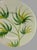 Ceramic Vintage Bergdorf Goodman Hand Painted in Italy Tropical Palm Leaf Platter For Sale - Image 7 of 7