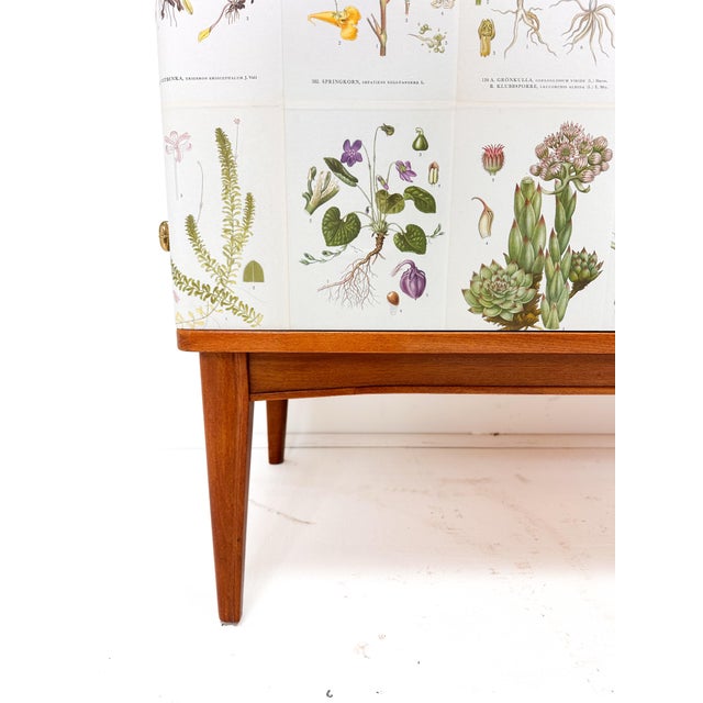 1950s 1950’s Swedish Cabinet With Nordens Flora Illustrations For Sale - Image 5 of 9