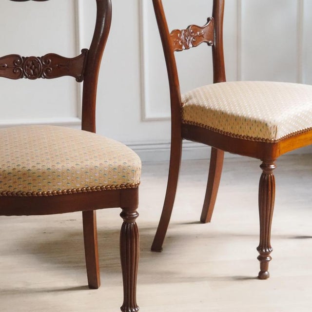 Biedermeier Chair in Mahogany with Balloon Backrest, 1850 For Sale - Image 12 of 14