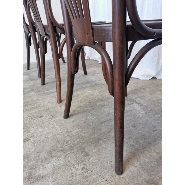 Mid-Century Bentwood Dining Chairs, 1970s, Set of 4 For Sale - Image 12 of 18