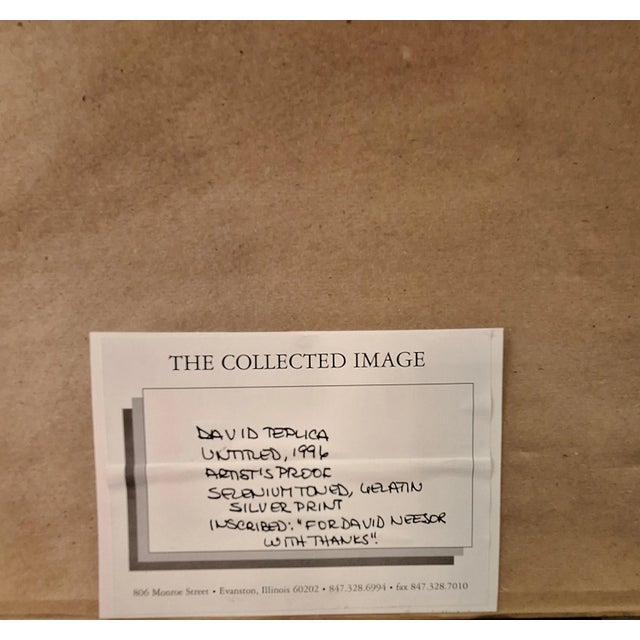 Black Set of Three David Teplica Untitled 1996 Artist Proof Selenium Gelatin Silver Print Photographs For Sale - Image 8 of 12