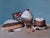 Chocolate Choices by Kelly Birkenruth | Oil on panel Still life of desserts and candy. For Sale