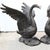 Unique large bronze swan statue Measures 36 inches tall - 93 CM Great for the garden and of course being bronze can live...