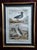 Late 19th Century Late 19th Century Antique French Bird Prints For Sale - Image 5 of 11
